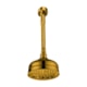 Chuveiro De Teto Retro Rb6857t Bronze Escovado Rubinettos - 4816c4ae-9e72-43cb-ae8e-f135a9a623ec