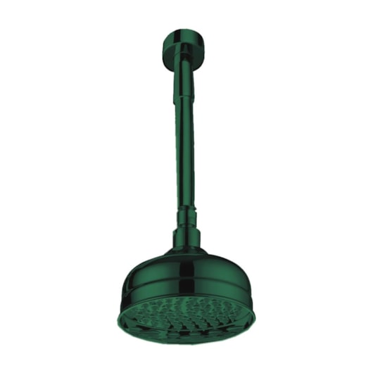 Chuveiro De Teto Retro Rb6857t Verde Araucária Matte Rubinettos - Imagem principal - 36808e2c-526a-453e-b803-a54023d66510