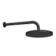 Chuveiro Redondo De Parede Flex Max Black Matte Deca - 9c1236f2-1648-48f0-acba-ae60dae75a63