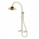 Chuveiro Retrátil De Coluna Estilo Retro Rb7100 Dourado Rubinettos - ec509e80-4014-40da-8cb3-fc39333af73c