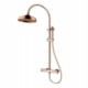 Chuveiro Retrátil de Coluna Estilo Retro Rb8100 Rose Gold Rubinettos - 29152210-320e-49a0-a808-1ed1d2cba8b1