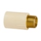 Conector De Transição Macho Super 35x1.1/4 Cpvc Amanco - 90f5b3d1-6d4a-421f-911c-a5f85d94149d