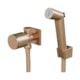 Ducha Higiênica Com Gatilho ABS Flexível Elo 480 1739 1/2 Champagne Fani - ccdf9aff-0940-4551-8f48-0df643158c80