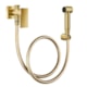 Ducha Higiênica Com Registro E Derivação New Edge Ouro Escovado Docol - 20297de4-59f6-4f7d-ba64-30f193ce27d9