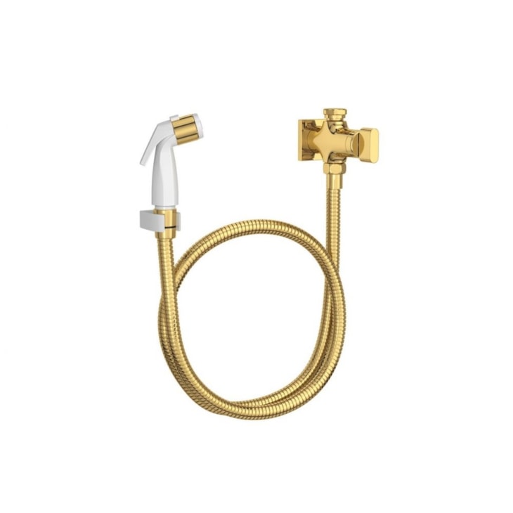 Ducha Higiênica Com Registro E Derivação Polo 1984 Gold Deca