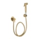 Ducha Higiênica Flexível  Quente E Fria 1/4 Com Flexível 1M Kr506 Champagne Matte Kromma - 7ffbd11a-fe80-4d32-928d-ada2a53c4dc6