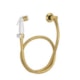 Ducha Manual Sem Registro Activa Gold Deca - f2a7a596-6a7d-4964-80ba-69fe5d3884f0