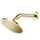 Ducha Redonda Gold Lexxa - debf2451-7ddc-4b9c-9193-449032d6b599