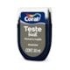Escolha Cor Teste Facil Fosco Pinheiro Inglês 30ml Coral - 0c084a20-5b04-4eac-9561-ce6542c0117d