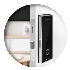 Fechadura Digital FDE101-RM Com Senha e Biometria De Embutir Rolete Magnético Preto Pado