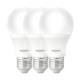 Kit Com 3 Lampadas LED Bulbo Pera 15W Luz Branca 6500K Bivolt Avant - 84bb96d4-f871-4ab2-8b95-1cfa86ceb29f