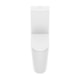 Kit Vaso Sanitário Com Caixa Acoplada Assento E Itens De Instalação Ona Branco Matte Roca - a117c4e8-4ae4-4638-b495-64443d9bd2e6