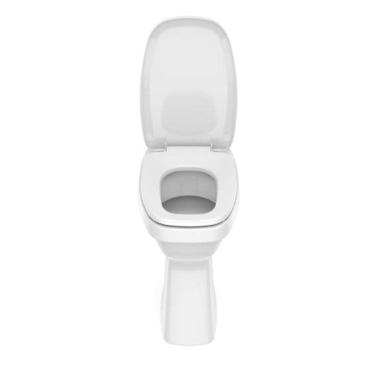Kit Vaso Sanitário Convencional Itens de Instalaçao E Assento Pp Art Branco Incepa - Imagem principal - 63a72eed-e8ca-4161-a409-e29f286a9253