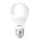 Lampada LED Bulbo Pera 4,8W Luz Branca 6500K Base E27 Bivolt Avant - 0fa8252b-4f8a-40a6-a907-eb74a57b949a