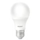 Lampada LED Bulbo Pera 4,8W Luz Branca 6500K Bivolt Avant - e9419779-a87d-4d11-a1d7-d2e7d2eb6b47