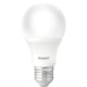 Lampada LED Bulbo Pera 7W Luz Branca 6500K Base E27 P/ Bateria 12V Avant - 610312af-be58-430f-be12-17ed3354ff6c