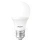 Lampada LED Bulbo Pera 9W Luz Branca 6500K Base E27 Bivolt Avant - f02a82ac-a017-47ac-8499-39184842fbd3
