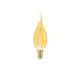 Lâmpada Led Filamento Vintage Vela Bico Torcido B35 3W 127V Âmbar E14 Taschibra - aaa2e7bb-b940-4178-8388-8e461568ffe5