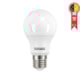 Lâmpada Led Tkl 60 4000K Procel Taschibra 9W - aed398de-3458-4d11-9e0d-c2870345c798