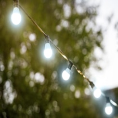 Lâmpada Led Tkl 80 4000K Taschibra 12W