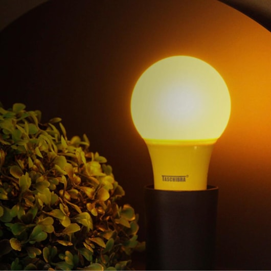 Lâmpada Led Tkl Colors Amarela Taschibra - Imagem principal - 5953a97e-4e4e-474b-881c-5d3b8521c462