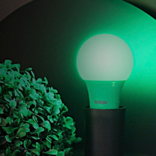 Lâmpada Led Tkl Colors Verde Taschibra - Imagem principal - f551e7b4-c5c2-46d9-a646-8907ba013a91