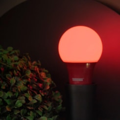 Lâmpada Led Tkl Colors Vermelha Taschibra