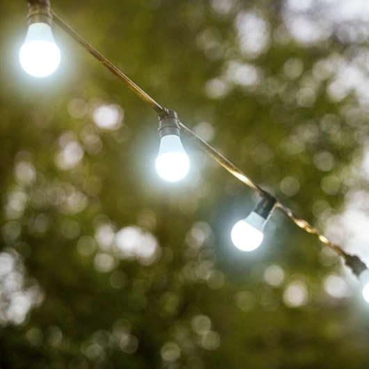 Lâmpada Led TKL80 DIM 12W 220V 6500K Taschibra - Imagem principal - c8192a3d-3bd3-447b-b4a3-d2f3f29df7e5