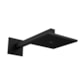 Loes Chuveiro De Parede Quadrado Acqua Plus 1992 Com Tubo Black Matte Deca - fe034691-b7e9-4ec7-92be-e058fd8261ce