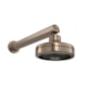 Loes Chuveiro De Parede Redondo Acqua Plus Com Tubbo Corten Matte Deca - 42c27e2e-c62a-4792-9427-2d4290706b6f