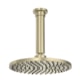 Loes Chuveiro De Teto Com Tubo Aquamax Summer Gold Deca - 32aaa716-06ff-4e49-af1b-4f68f051e0de