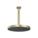 Loes Chuveiro Redondo De Teto Flex Max Summer Gold Deca - 06c9ba2c-3a57-4933-a00e-3ede5fda660b