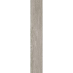 Loes Porcelanato Portinari Chaplin Gr Natural 20X120Cm Retificado