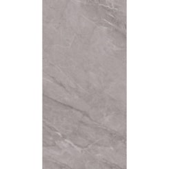 Loes Porcelanato Portinari Pietra Di Savoie Gr Polido 58,4x117cm Retificado