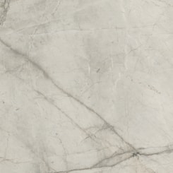 Loes Porcelanato Retificado Tesoro Silver Root Polido Portinari 120X240Cm