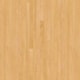 Manta Para Piso Vinílico Tarkett Ominsp Trainning Maple Golden - 2f24a3d8-b43d-43c6-90d4-3293184c2dbf