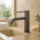 Misturador Monocomando Lavador Bica Baixa Grafite Escovado Drop 9cm - e95208bc-0aa5-4939-bb4f-1958ebea96b2
