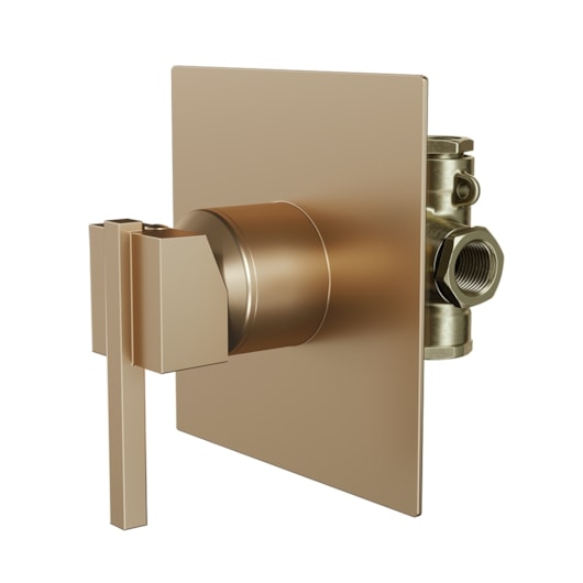 Misturador Monocomando Para Chuveiro 1/2x3/4 Eros 640 Champagne Fani - Imagem principal - ac5d83ae-5278-4e09-89ca-8470b59e0866