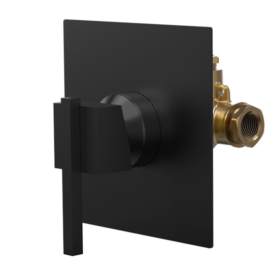 Misturador Monocomando Para Chuveiro 1/2X3/4 Eros 6416 Bk640 Preto Fosco Fani Metais - Imagem principal - 3733a2fc-4bb9-4174-8362-f9b67d244332