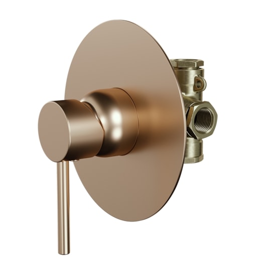 Misturador Monocomando Para Chuveiro Slim 95 Champagne Fani - Imagem principal - 9f5ef26b-f4b3-4d57-b118-d14f2900b47d