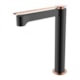 Misturador Monocomando Para Lavatório Bica Alta Rb8316 Black Matte E Rose Gold Rubinettos - c2c9ebaf-fb52-4356-9d91-c7fa9f383104