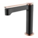 Misturador Monocomando Para Lavatório Bica Baixa Rb8315 Black Matte E Rose Gold Rubinettos - 5e6b0c63-6171-469c-87cf-24aebb6f6605