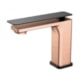 Misturador Monocomando Para Lavatório Bica Baixa Urban Rb8115  Rose Gold Escovado E Black Matte Rubinettos - ec2af652-84c3-47d2-a8ab-658b59916c63