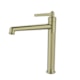 Misturador Monocomando Retro Bica Baixa Country Ouro Escovado Lexxa - f0aaff41-5a85-42f0-9b1b-fbdad098ce12