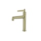 Misturador Monocomando Retro Bica Baixa Country Ouro Escovado Lexxa - 85756203-2d4d-4b2c-acd0-b5e2e8f31ffd
