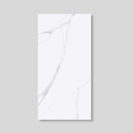 Piso Ceramico Marmocerâmica Elegance Blanc Polido 56x113cm Retificado - Imagem principal - a01b7387-1047-4245-9fa2-070162510369