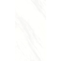 Porcelanato Biancogres Frozen Lux 60x120cm Retificado