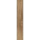 Porcelanato Ceusa Bosque Acetinado 28,8x119cm Retificado - da7bad76-e501-429b-ade8-5cbc690b3712