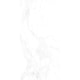 Porcelanato Ceusa Carrara Polido 58,4x117cm Retificado - a84370c1-1330-4230-9656-d7d30dfb3c54