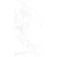 Porcelanato Ceusa Carrara Polido 58,4x117cm Retificado - e76dca2a-6e56-4cf2-97c8-be4c6e500963